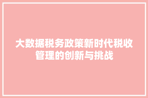 大数据税务政策新时代税收管理的创新与挑战