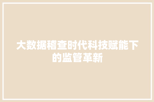 大数据稽查时代科技赋能下的监管革新