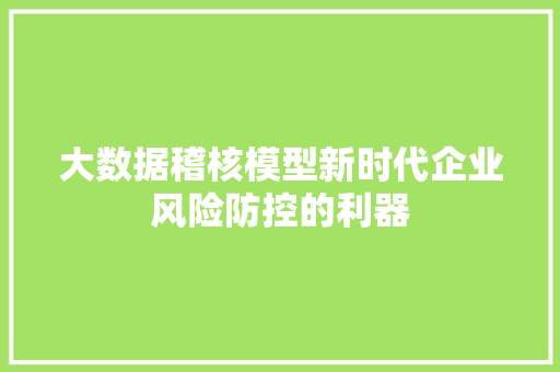 大数据稽核模型新时代企业风险防控的利器