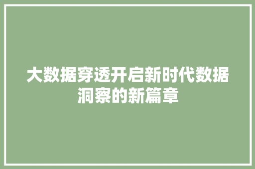 大数据穿透开启新时代数据洞察的新篇章