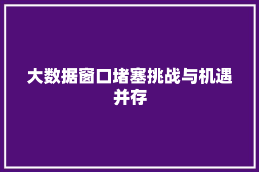 大数据窗口堵塞挑战与机遇并存