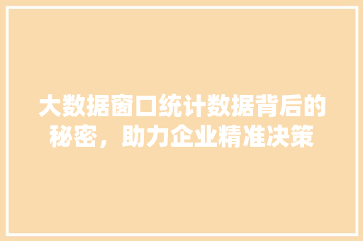 大数据窗口统计数据背后的秘密，助力企业精准决策
