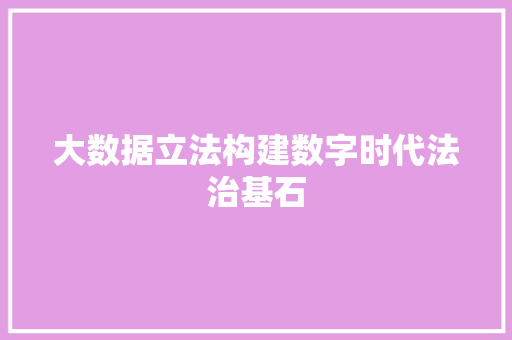 大数据立法构建数字时代法治基石