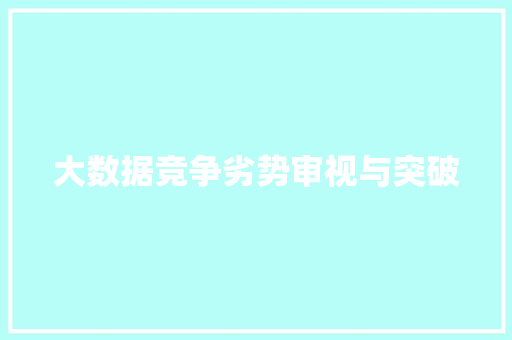 大数据竞争劣势审视与突破