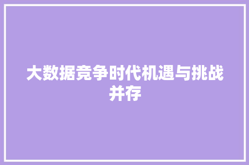 大数据竞争时代机遇与挑战并存