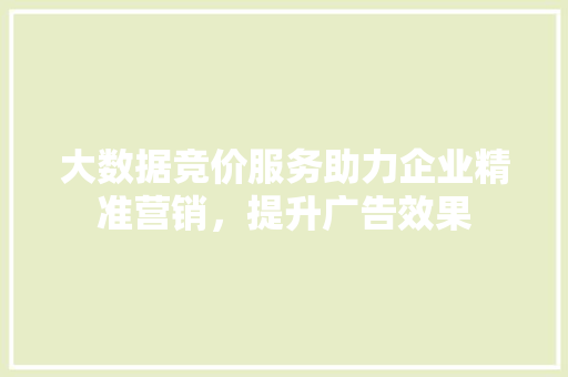 大数据竞价服务助力企业精准营销，提升广告效果