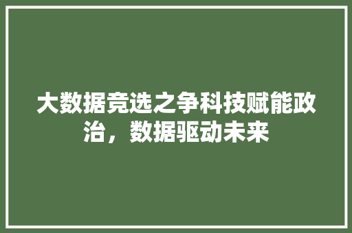 大数据竞选之争科技赋能政治，数据驱动未来