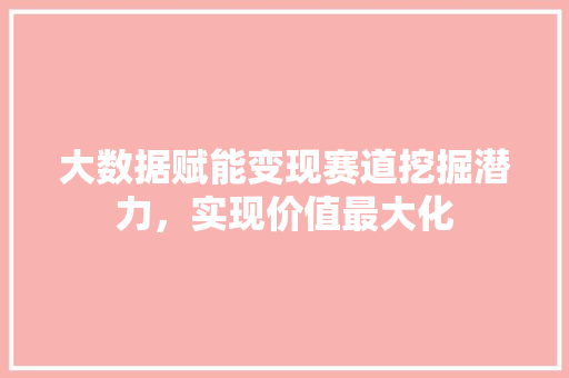 大数据赋能变现赛道挖掘潜力，实现价值最大化