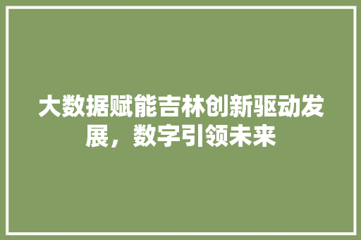 大数据赋能吉林创新驱动发展，数字引领未来