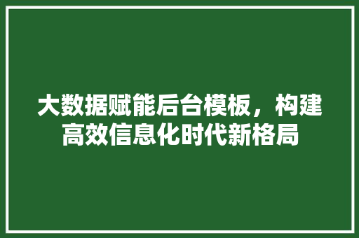 大数据赋能后台模板，构建高效信息化时代新格局