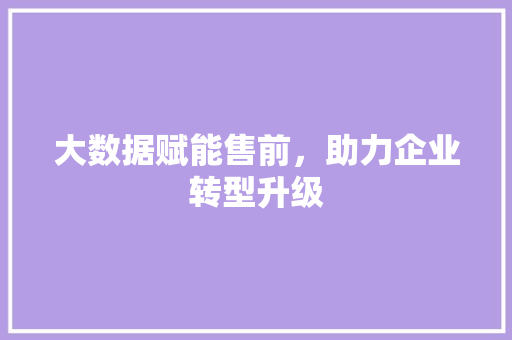 大数据赋能售前，助力企业转型升级