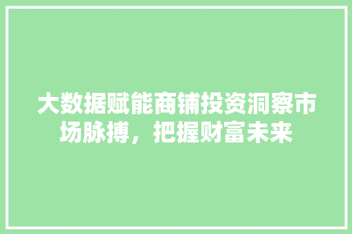 大数据赋能商铺投资洞察市场脉搏，把握财富未来 操作系统