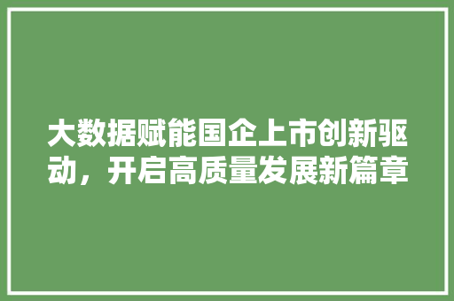 大数据赋能国企上市创新驱动，开启高质量发展新篇章