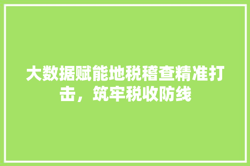 大数据赋能地税稽查精准打击，筑牢税收防线