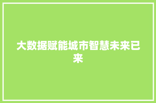 大数据赋能城市智慧未来已来