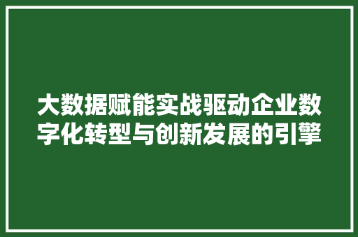 大数据赋能实战驱动企业数字化转型与创新发展的引擎