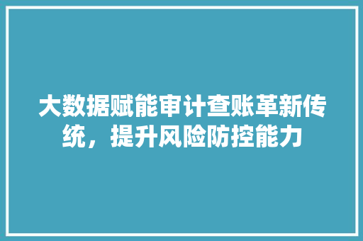 大数据赋能审计查账革新传统，提升风险防控能力