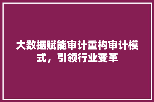 大数据赋能审计重构审计模式，引领行业变革