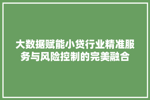 大数据赋能小贷行业精准服务与风险控制的完美融合