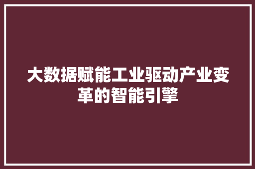 大数据赋能工业驱动产业变革的智能引擎