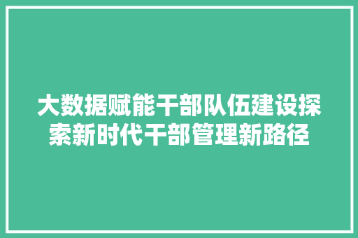 大数据赋能干部队伍建设探索新时代干部管理新路径