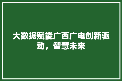 大数据赋能广西广电创新驱动，智慧未来