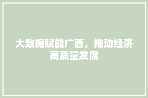 大数据赋能广西，推动经济高质量发展