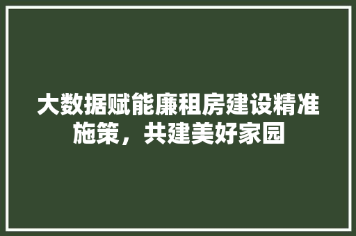 大数据赋能廉租房建设精准施策，共建美好家园