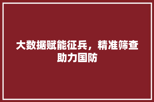 大数据赋能征兵，精准筛查助力国防
