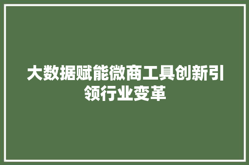 大数据赋能微商工具创新引领行业变革