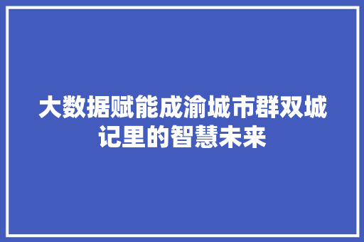 大数据赋能成渝城市群双城记里的智慧未来