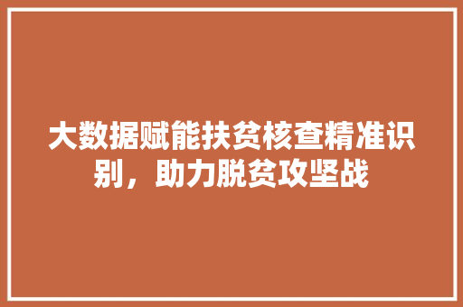 大数据赋能扶贫核查精准识别，助力脱贫攻坚战 操作系统