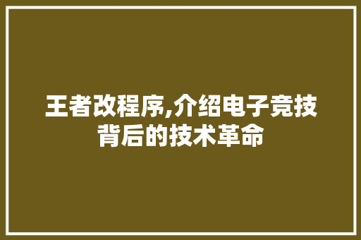 王者改程序,介绍电子竞技背后的技术革命 王者改程序,介绍电子竞技背后的技术革命 电脑基础