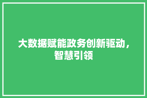 大数据赋能政务创新驱动，智慧引领