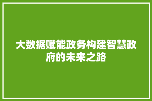 大数据赋能政务构建智慧政府的未来之路