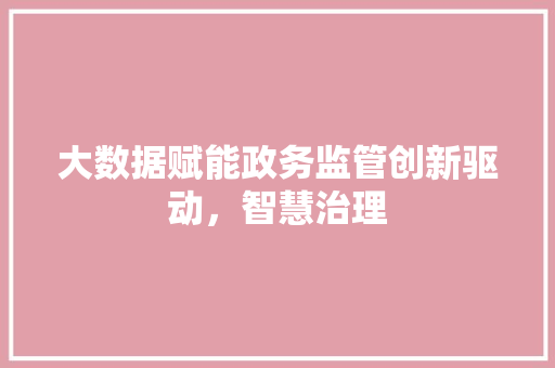 大数据赋能政务监管创新驱动，智慧治理