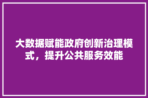 大数据赋能政府创新治理模式，提升公共服务效能