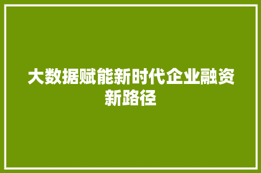 大数据赋能新时代企业融资新路径