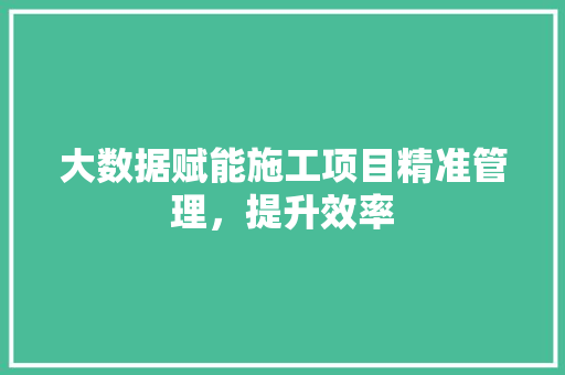 大数据赋能施工项目精准管理，提升效率