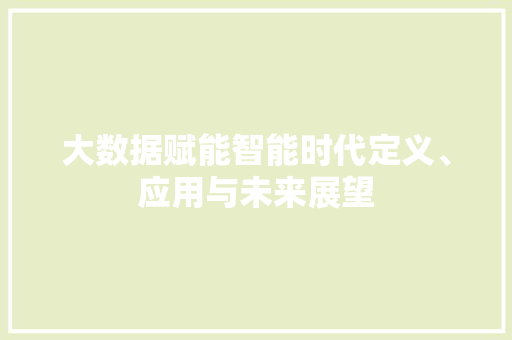 大数据赋能智能时代定义、应用与未来展望