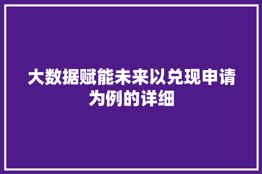 大数据赋能未来以兑现申请为例的详细