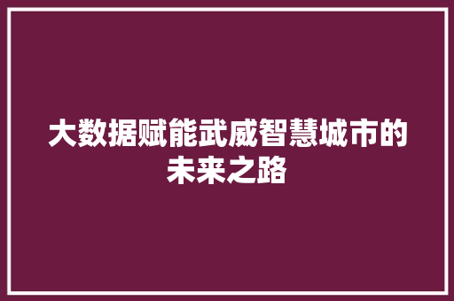 大数据赋能武威智慧城市的未来之路