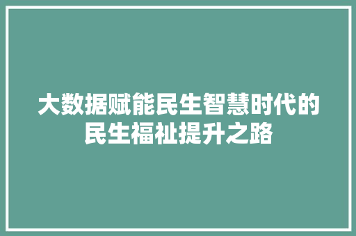 大数据赋能民生智慧时代的民生福祉提升之路