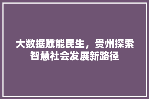 大数据赋能民生，贵州探索智慧社会发展新路径