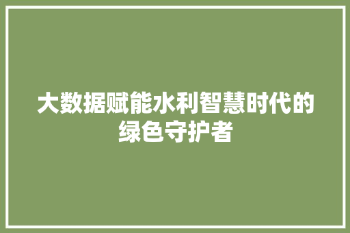 大数据赋能水利智慧时代的绿色守护者