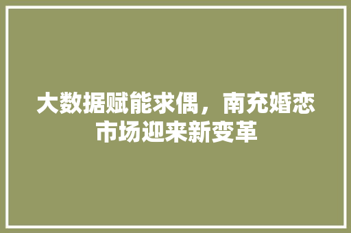 大数据赋能求偶，南充婚恋市场迎来新变革
