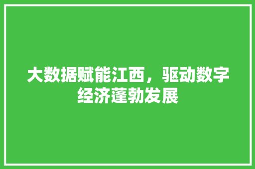 大数据赋能江西，驱动数字经济蓬勃发展