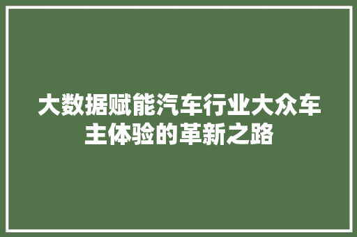 大数据赋能汽车行业大众车主体验的革新之路