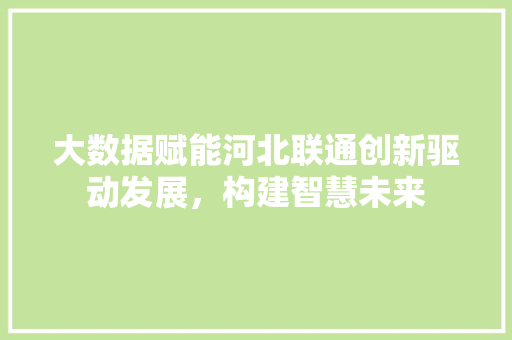 大数据赋能河北联通创新驱动发展，构建智慧未来