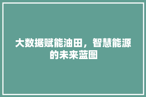 大数据赋能油田，智慧能源的未来蓝图